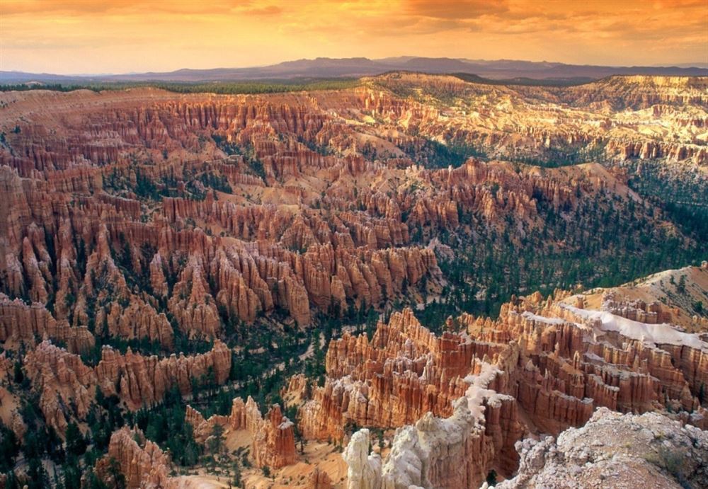 TeamTour West + Mini Yosemite & Extended San Francisco — 7